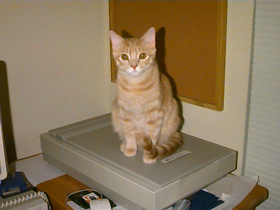 image01.jpg