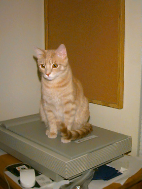 image02.jpg