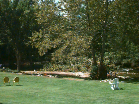 image29.jpg