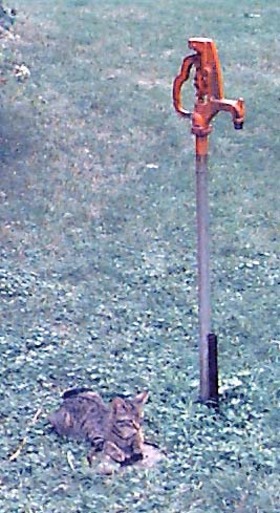 0103.jpg